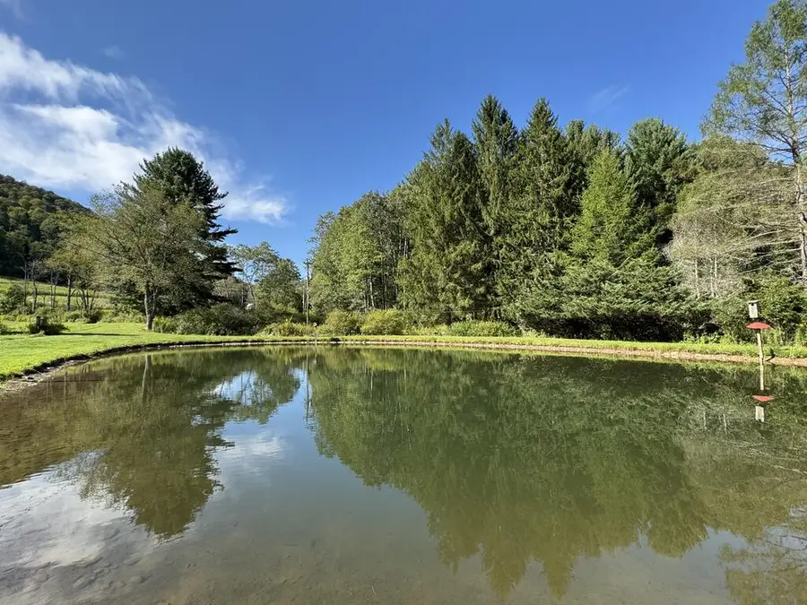 265 West Branch Fishing Creek Rd, Roulette, PA 16746 - #3