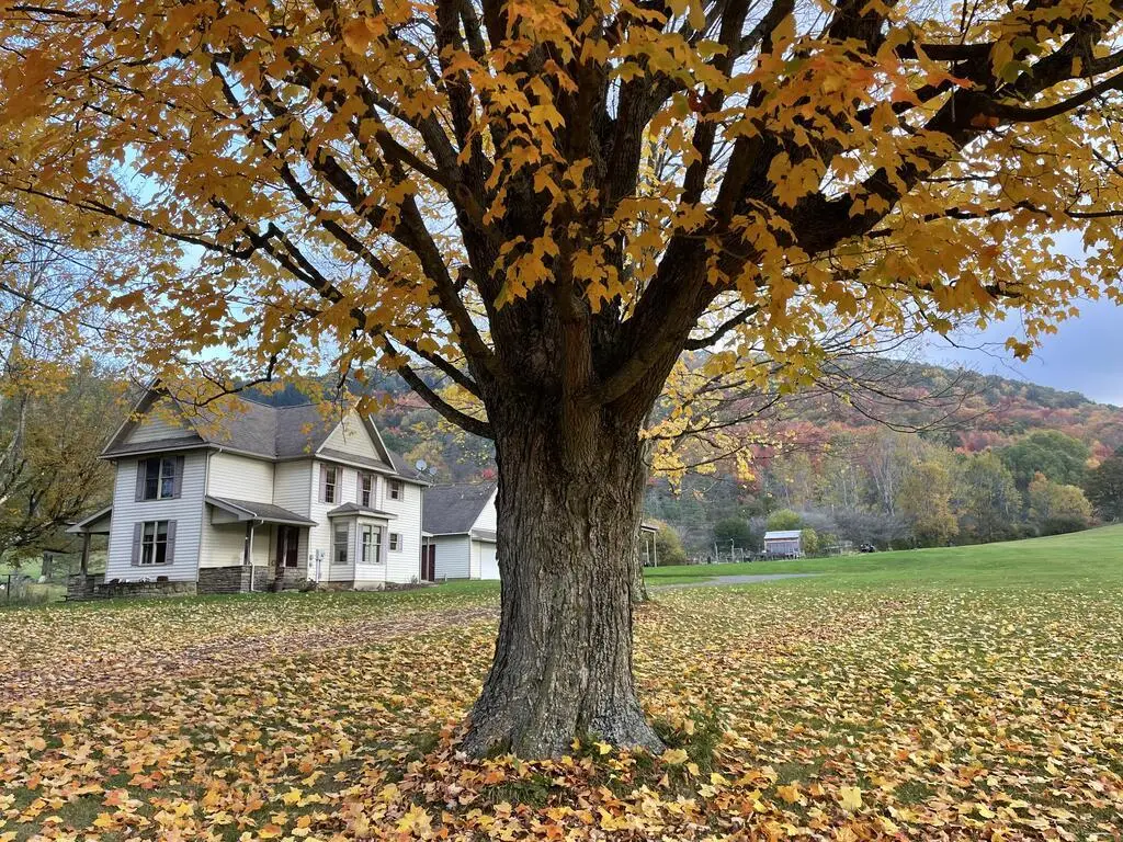 1524 State Route 44, Coudersport, PA 16915 - #1