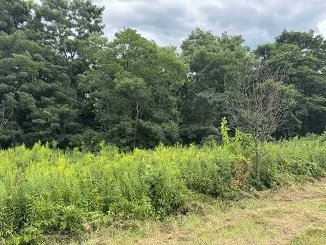 0 Ore Bed Rd, Mansfield, PA 16933 - #2