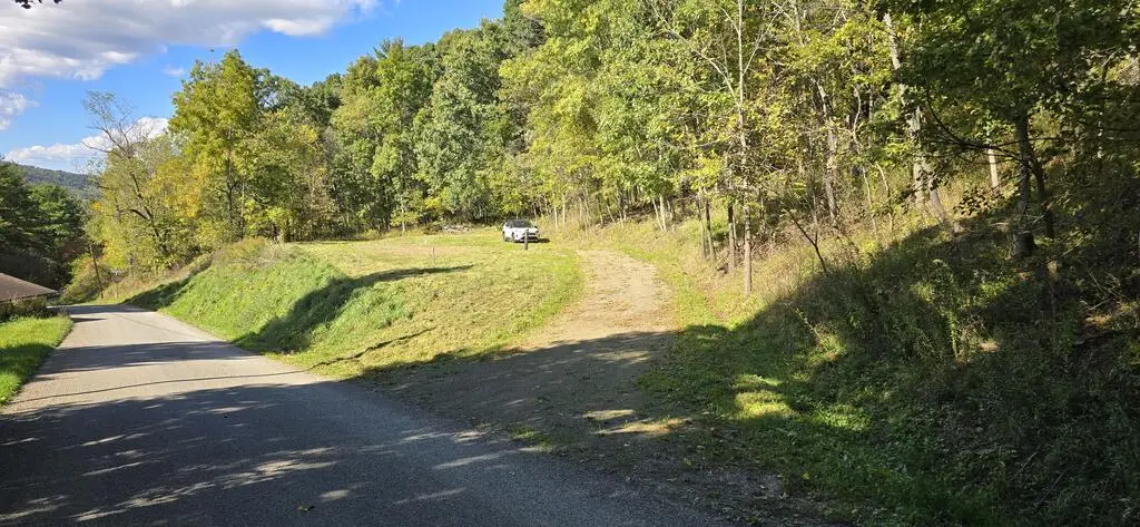 29 Depot Hill Rd, Lawrenceville, PA 16929 - #1