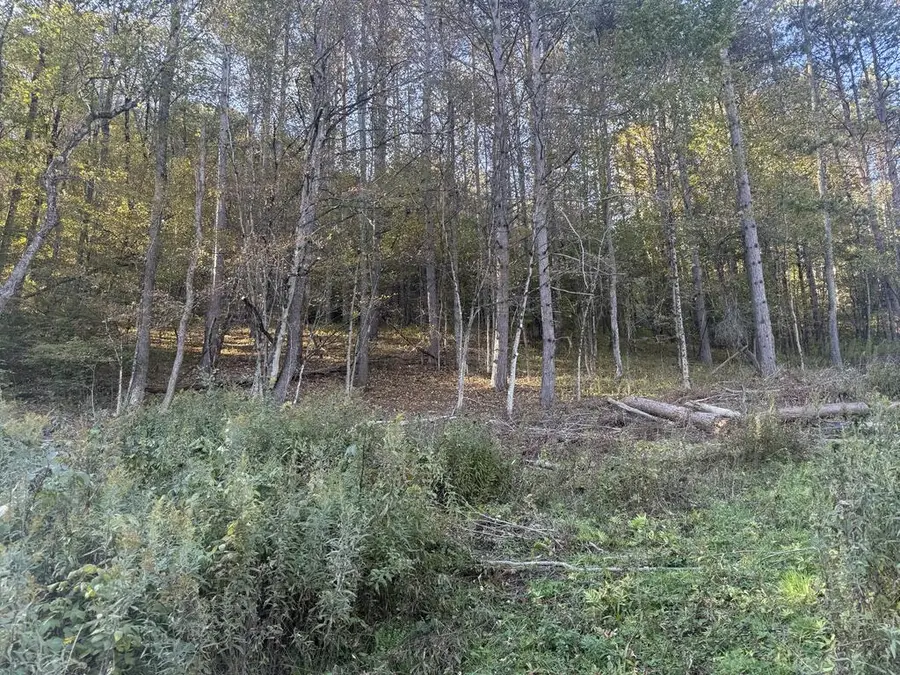 0 Loucks Road, Galeton, PA 16922 - #3