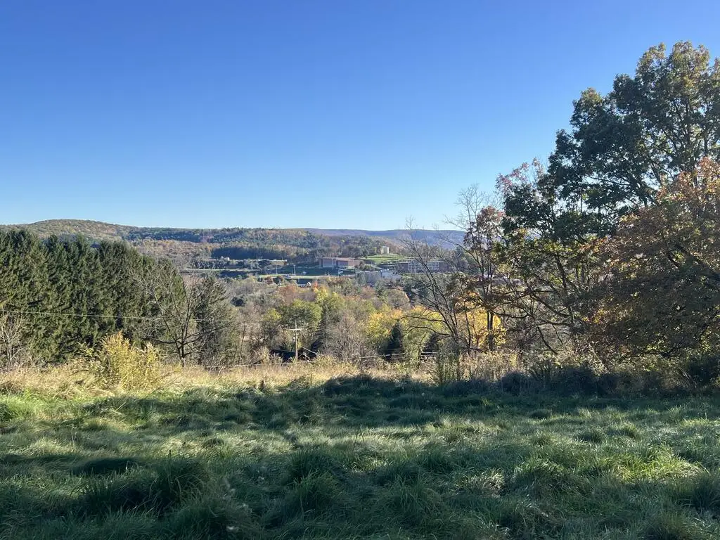 113 Pickle Hill Road, Mansfield, PA 16933 - #1