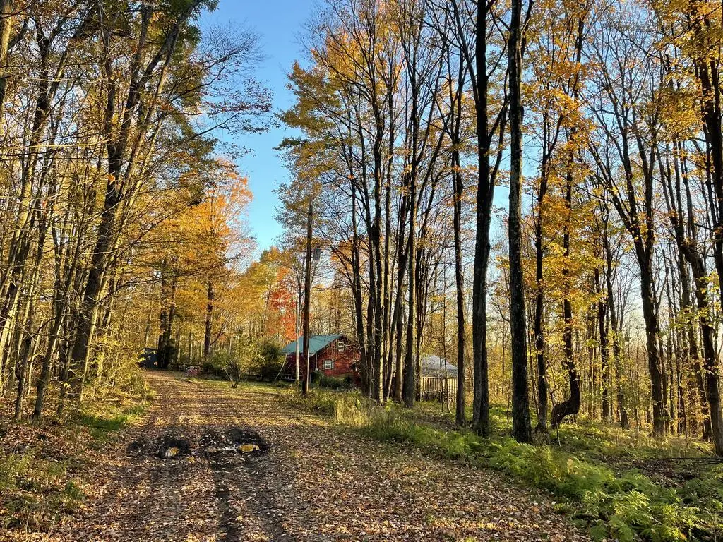 1651 White Knoll Rd, Ulysses, PA 16948 - #1