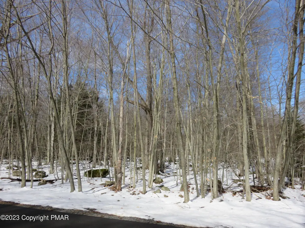 80-CC Delbert Drive, Gouldsboro, PA 18424 - Image #1