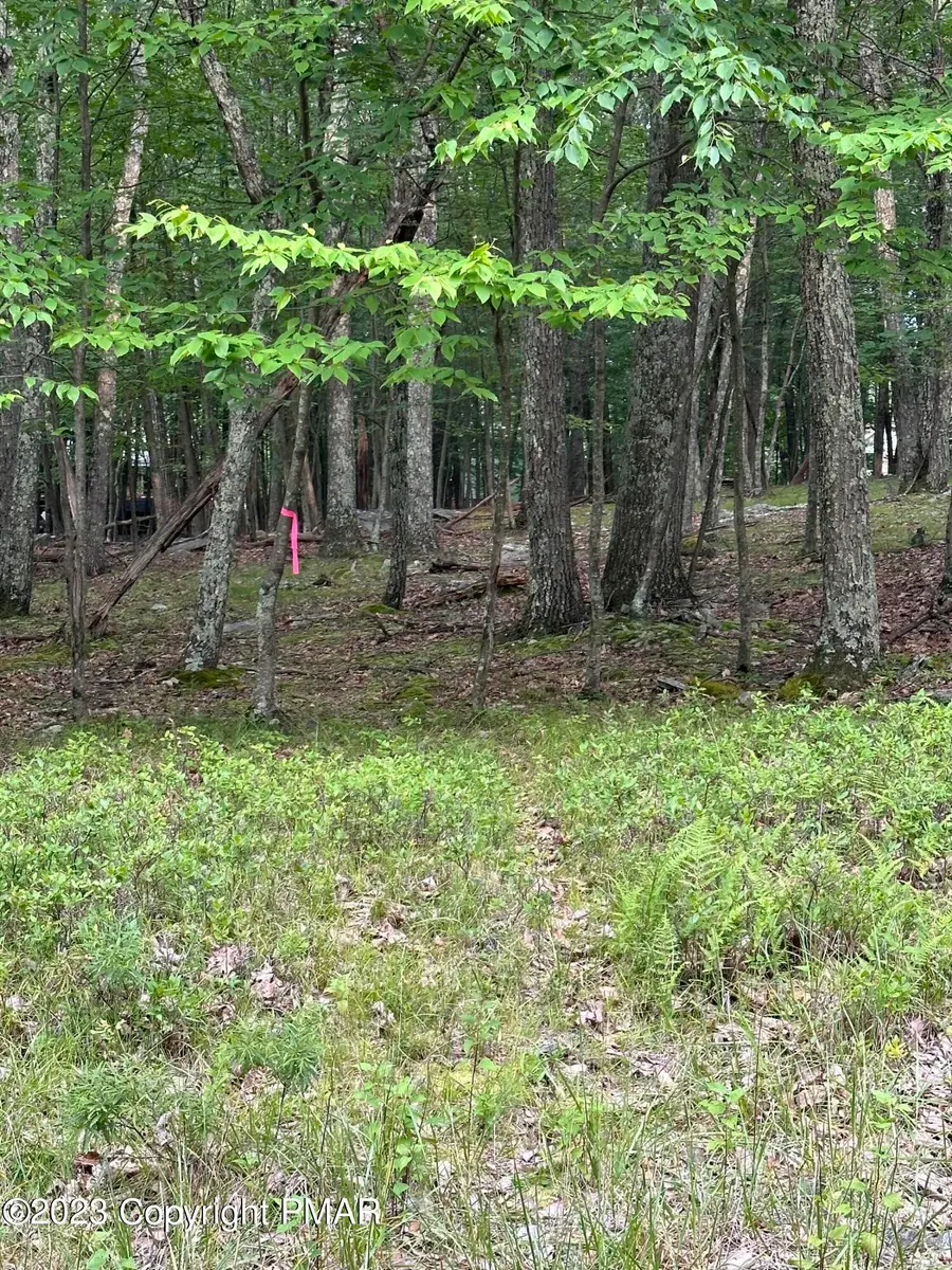 Lot 7 Cardinal Drive, Bushkill, PA 18324 - Image #2