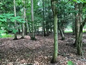 E14 Trail Ridge Road, Albrightsville, PA 18210