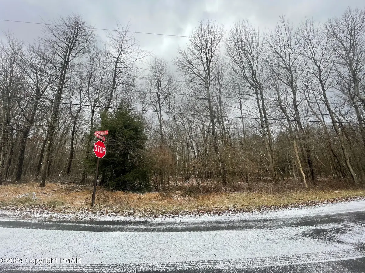 DP1400 Chinook Trail & Cochise Trail, Albrightsville, PA 18210 - Image #1