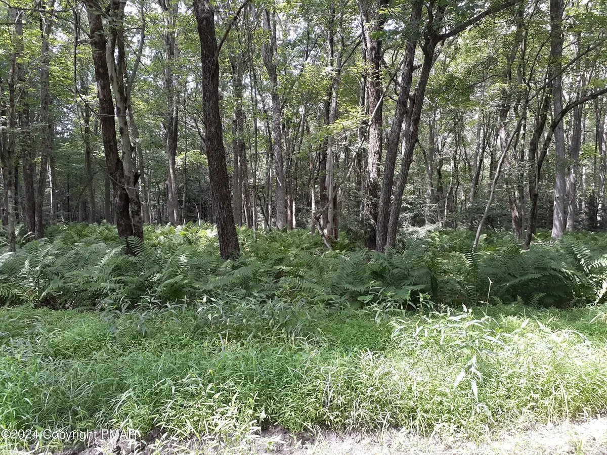 A141 Rosewood Drive, Jim Thorpe, PA 18229 - Image #1