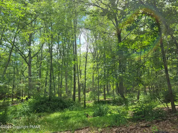 103 Brent Road, Bushkill, PA 18324