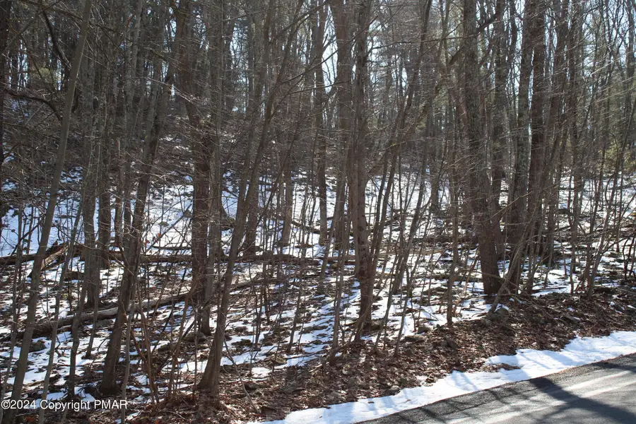 Deer Path Path, East Stroudsburg, PA 18302 - Image #2