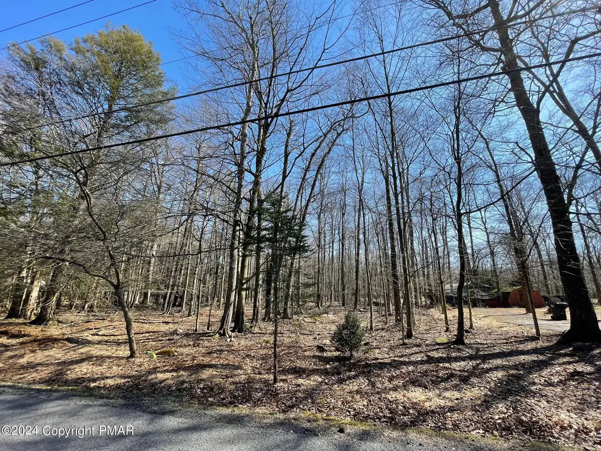 B16HF Tanglewood Drive, Albrightsville, PA 18210 - Image #1