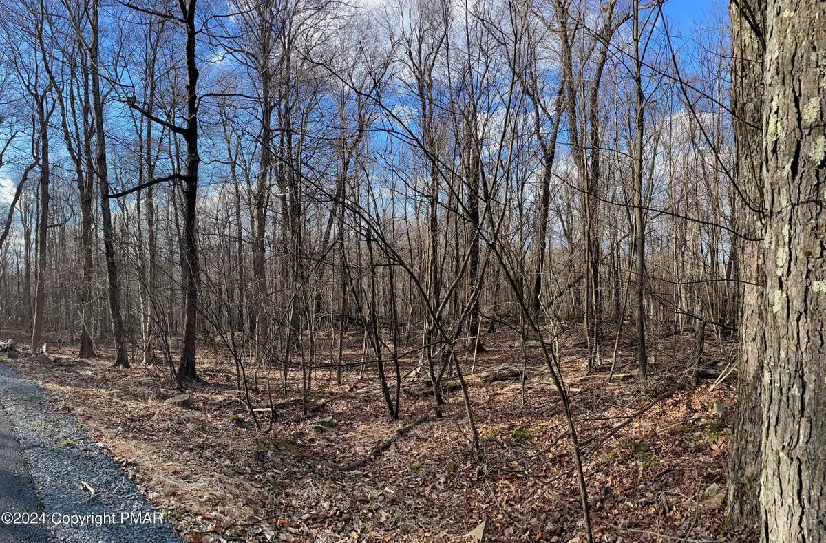 63 Ridge Road, Newfoundland, PA 18445 - Image #1