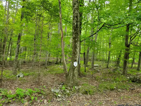 3 Tall Oak Lane, Pocono Lake, PA 18347