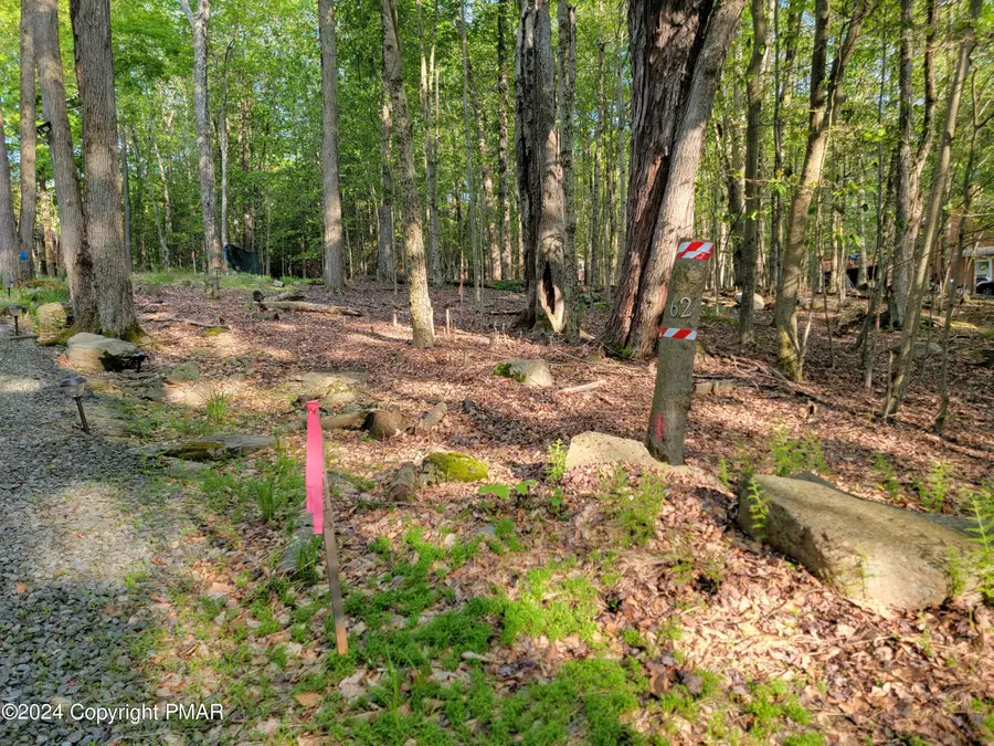 N1951 E Creek View Drive, Clifton Township, PA 18424 - Image #3