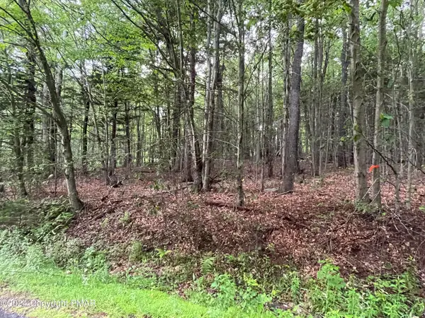 131 Cardinal - 2229 Drive, Clifton Township, PA 18424