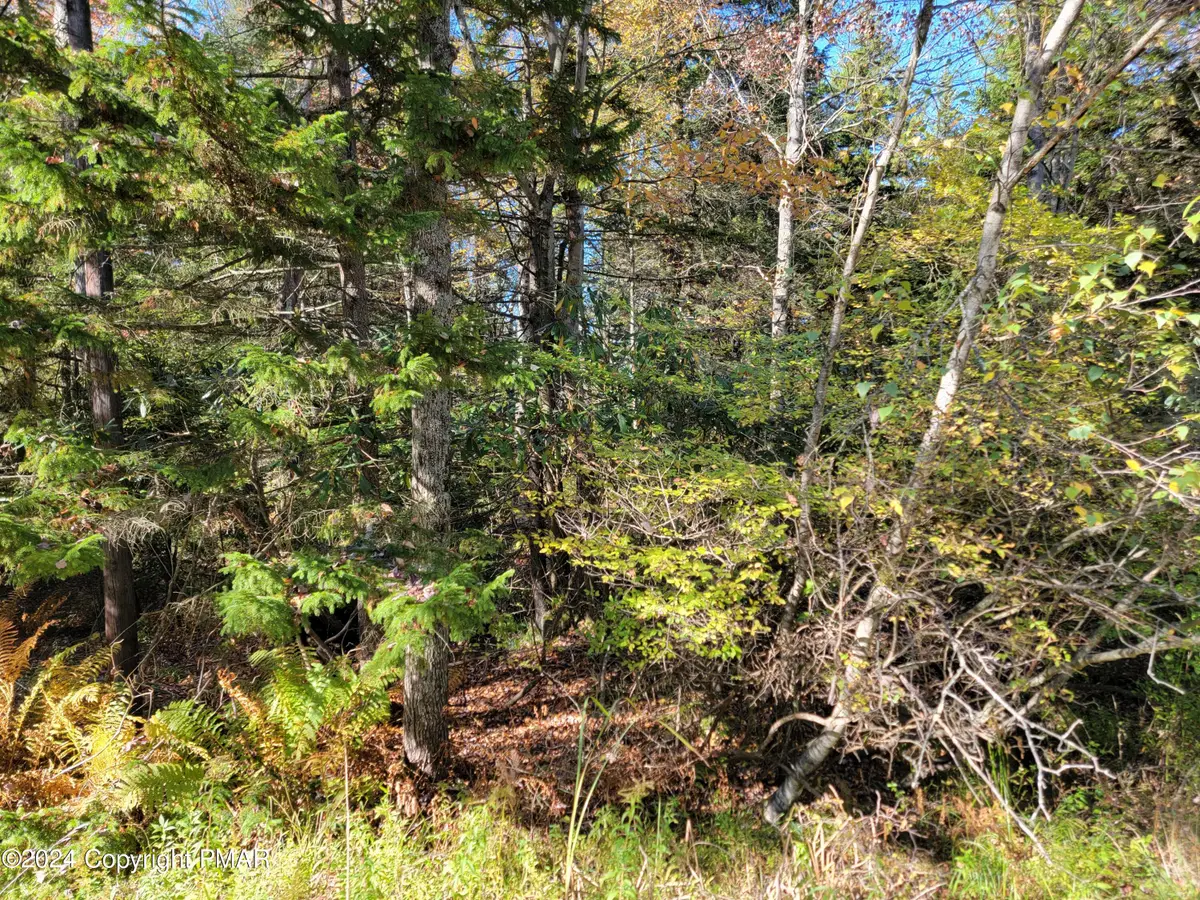 LOT 18& 19 Louis Lane, Gouldsboro, PA 18424 - Image #1