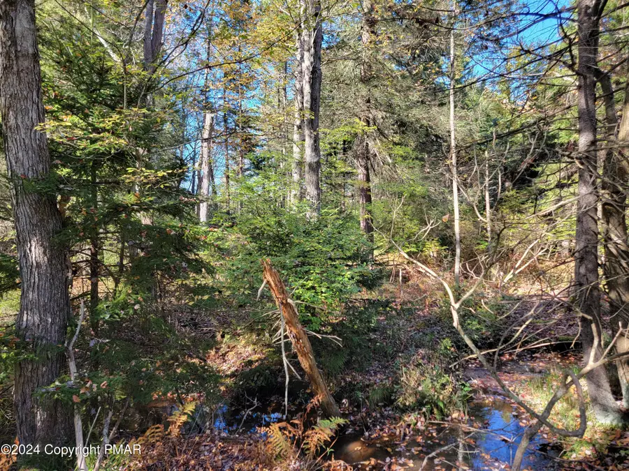 LOT 18& 19 Louis Lane, Gouldsboro, PA 18424 - Image #2