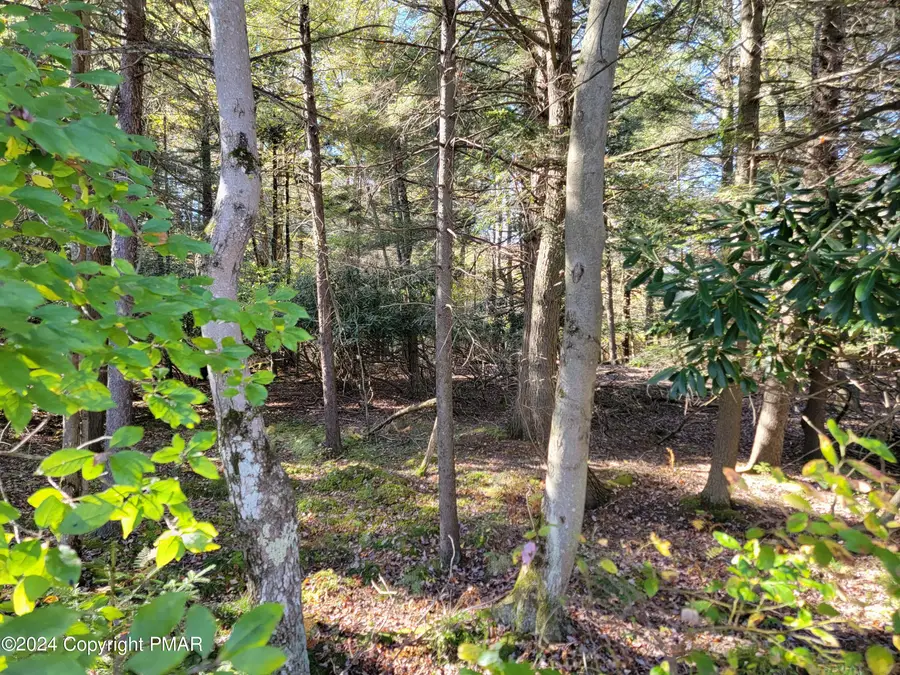 LOT 18& 19 Louis Lane, Gouldsboro, PA 18424 - Image #3