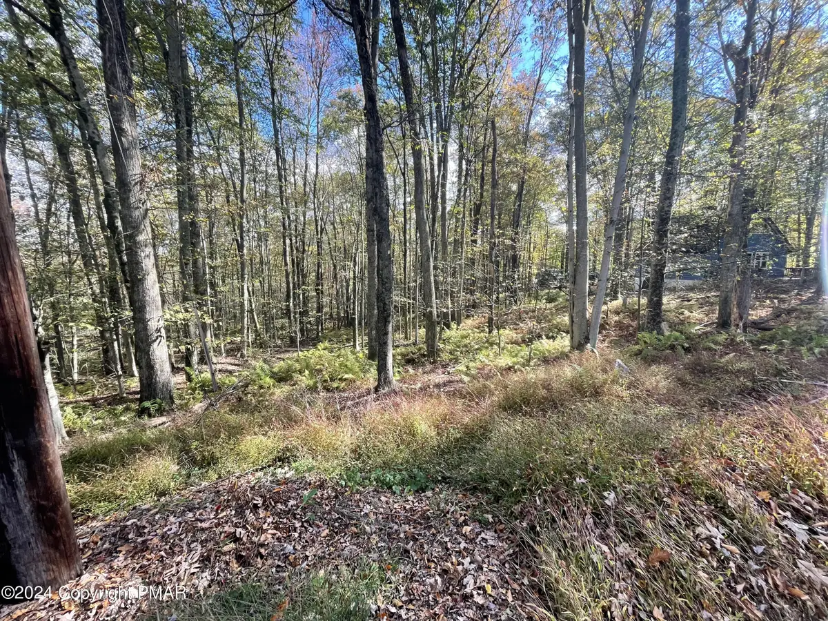 Mountain Ash Lane, White Haven, PA 18661 - Image #1