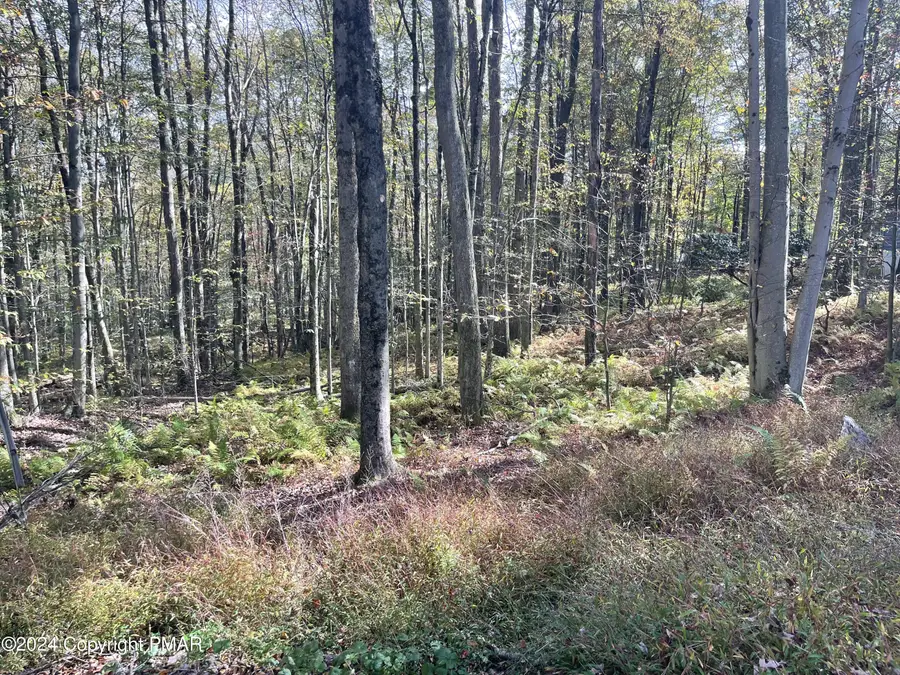 Mountain Ash Lane, White Haven, PA 18661 - Image #2