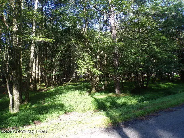Lot 709A Wintergreen Trail, Albrightsville, PA 18210 - Image #2