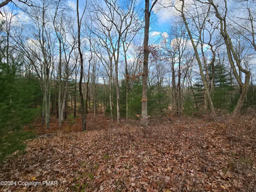 3 Bond Court, Milford, PA 18337 - Image #3