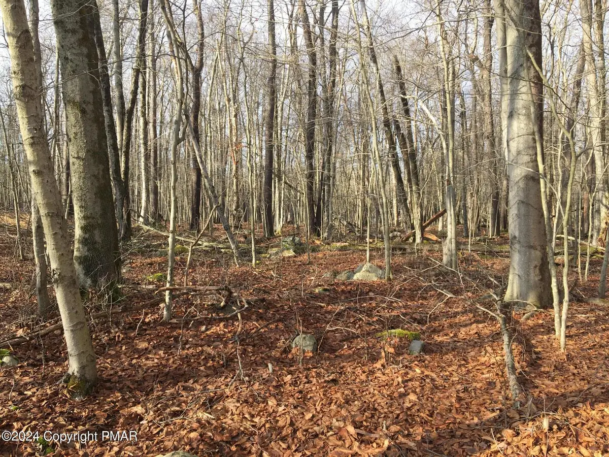 K1452 S Lehigh River Drive, Clifton Township, PA 18424 - Image #1