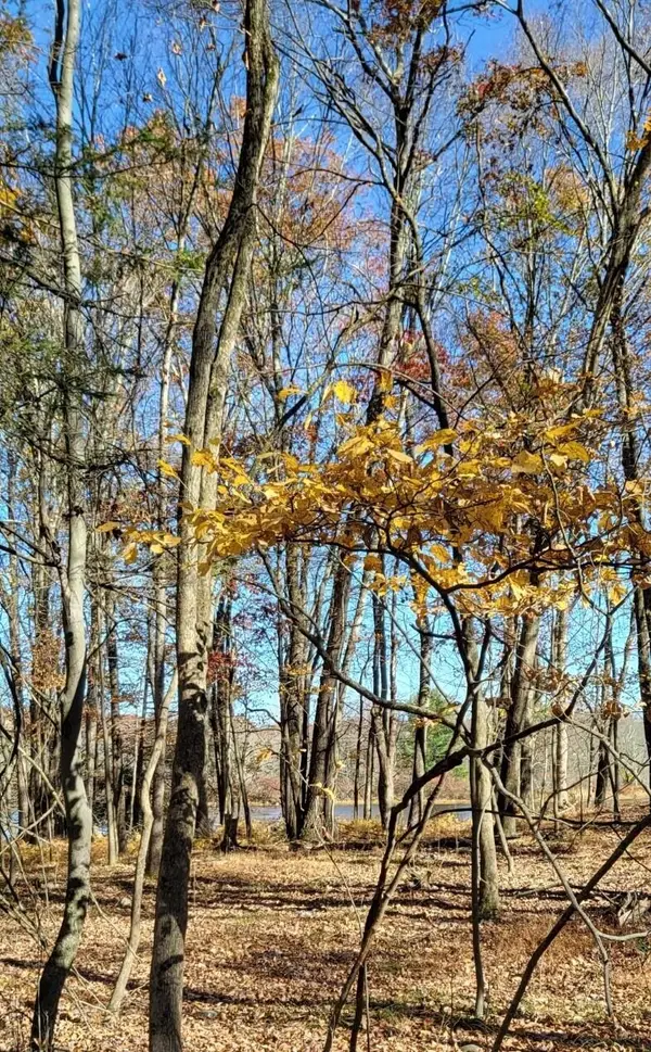 Frontier Rd 36, East Stroudsburg, PA 18302