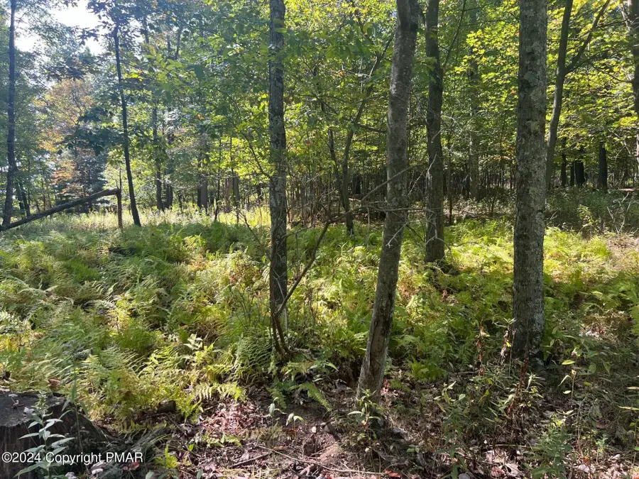 Werkheiser Lane, Stroudsburg, PA 18360 - Image #3