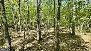 Spring Court, Bushkill, PA 18324 - Image #3