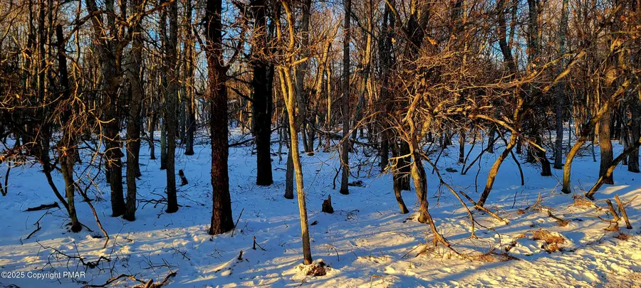 715 Chippewa Tr Trail, Albrightsville, PA 18210 - Image #3