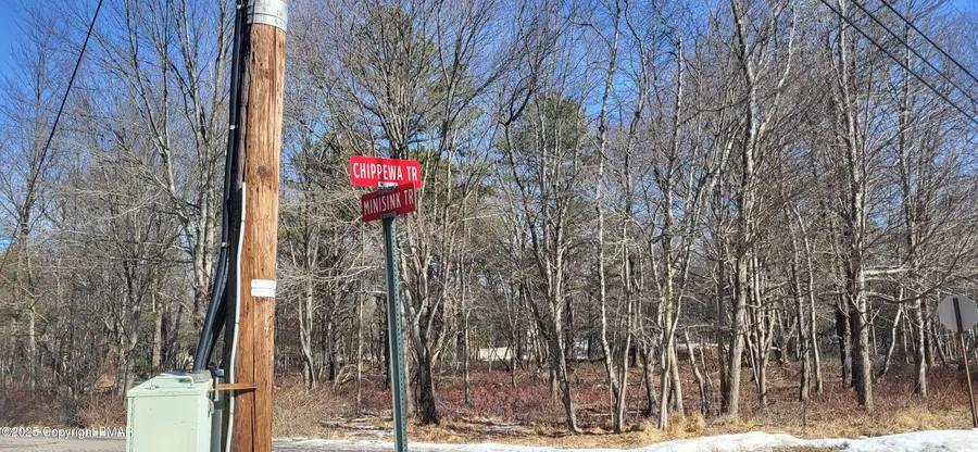 Minisink & Chippewa Trail, Albrightsville, PA 18210 - Image #3