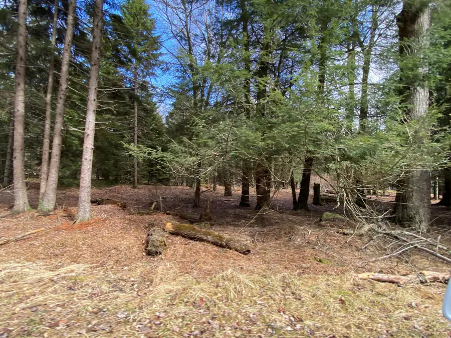 1025 W Wadi Road W, Pocono Lake, PA 18347 - Image #3