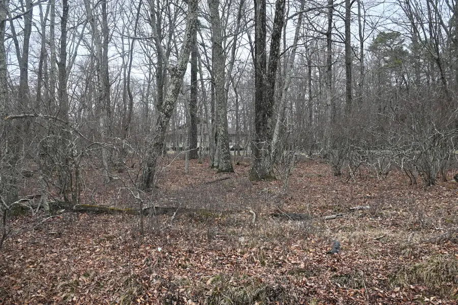 Oakenshield Drive, Tamiment, PA 18371 - Image #2