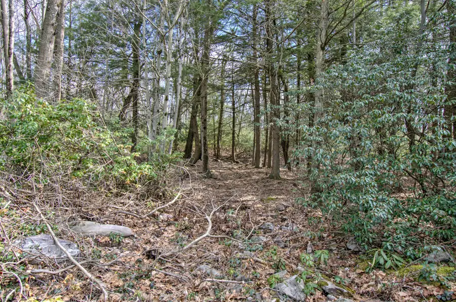 Lot 29 & 3 Stony Mountain Road, Jim Thorpe, PA 18229 - Image #3