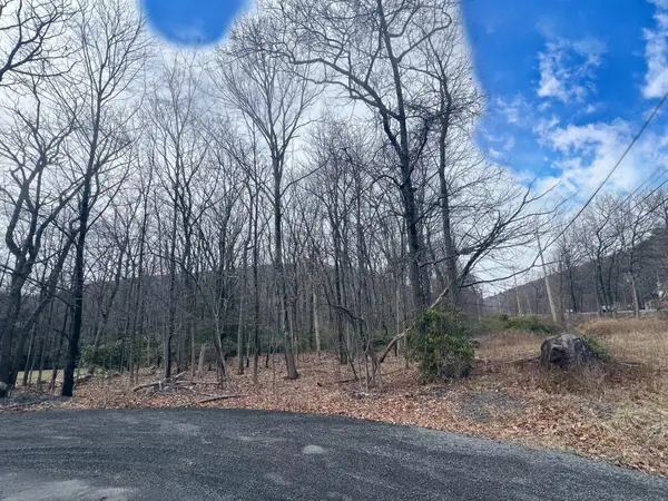 lot 253 Service Road, Effort, PA 18330