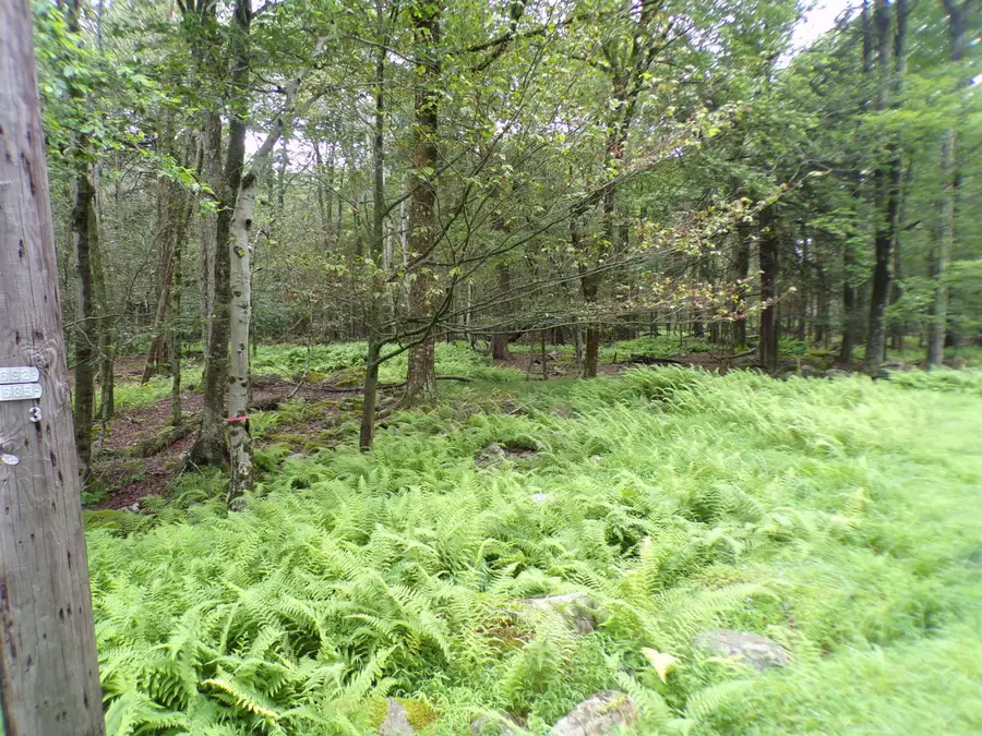 Cobblewood Road, Gouldsboro, PA 18424 - Image #3