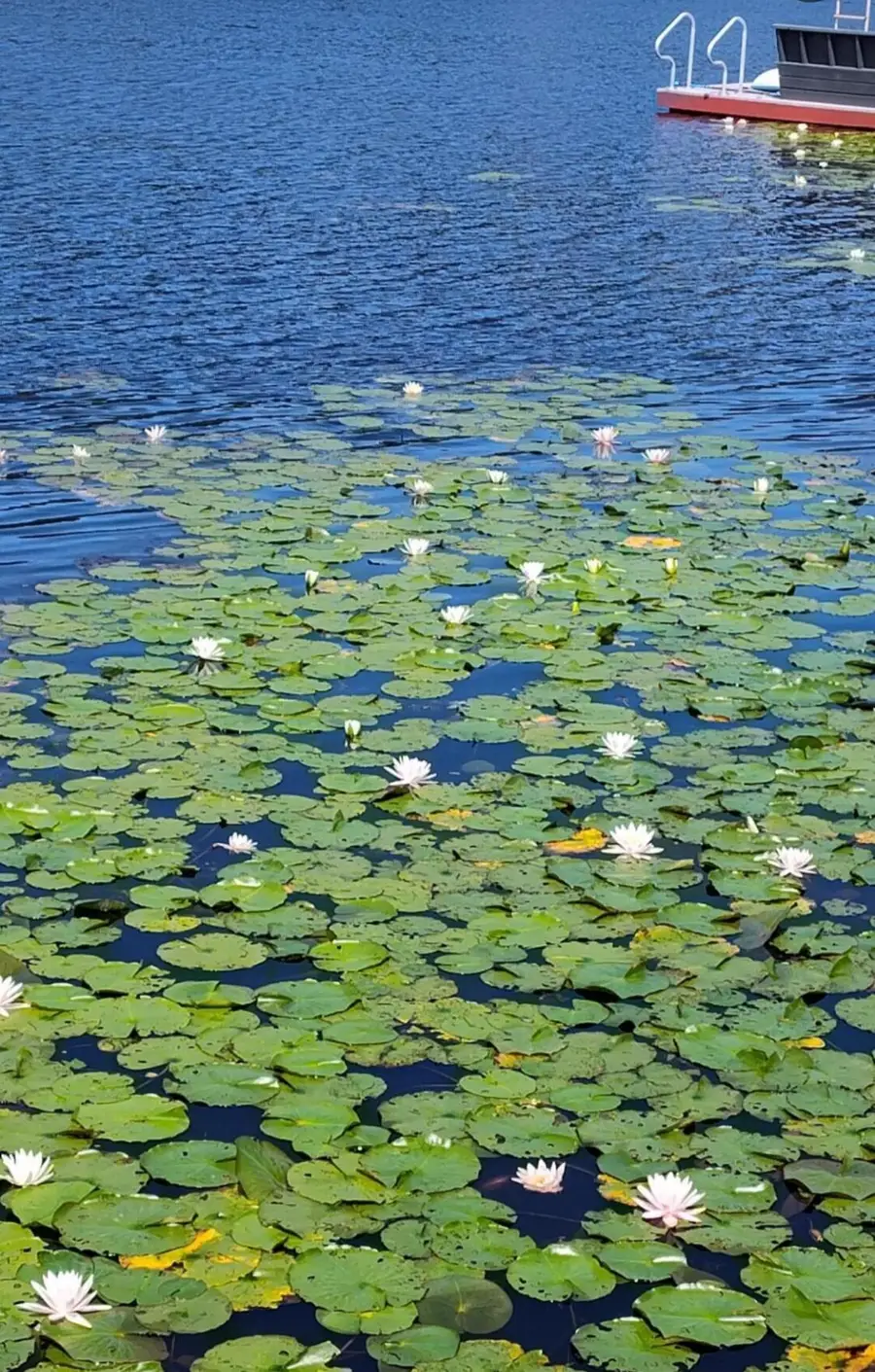 202 Deerfield Road, Lake Ariel, PA 18436 - Image #2