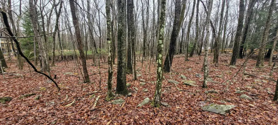 A385 Sunset Drive, Jim Thorpe, PA 18229 - Image #2