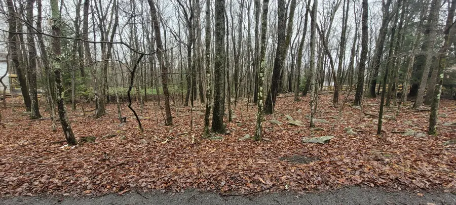 A385 Sunset Drive, Jim Thorpe, PA 18229 - Image #3