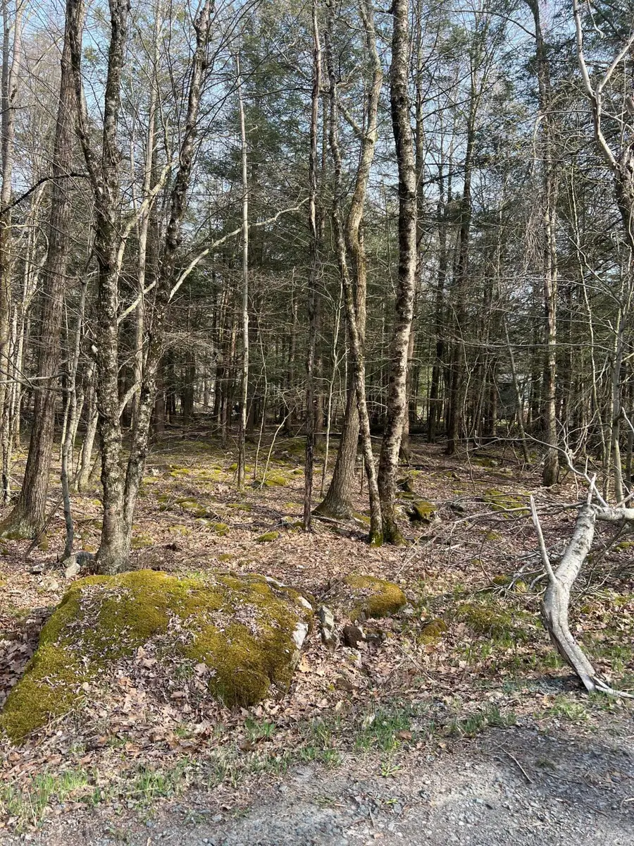 lot 813 White Pine Drive, Pocono Lake, PA 18347 - Image #2