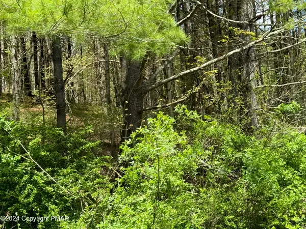 Haney Road, Kunkletown, PA 18058