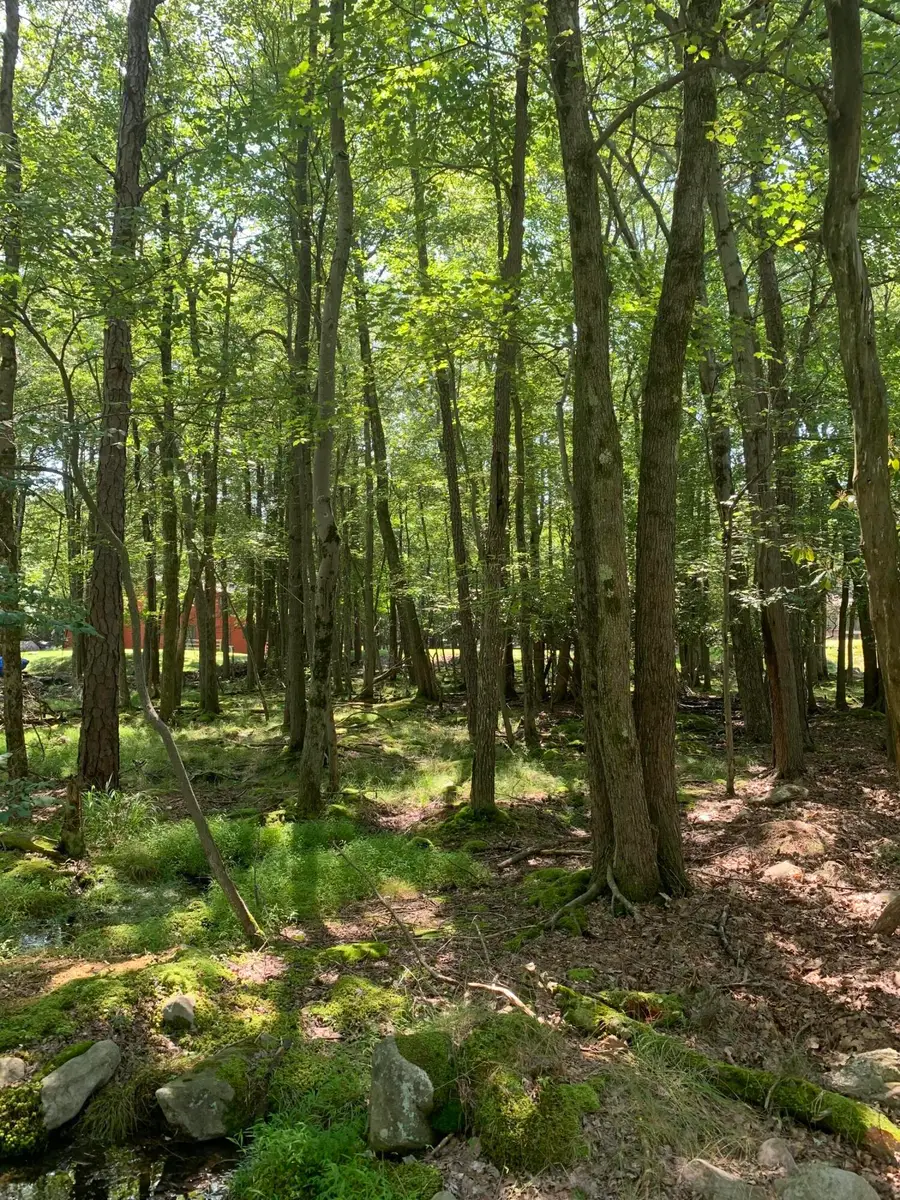 19 Sunshine Drive, White Haven, PA 18661 - Image #2