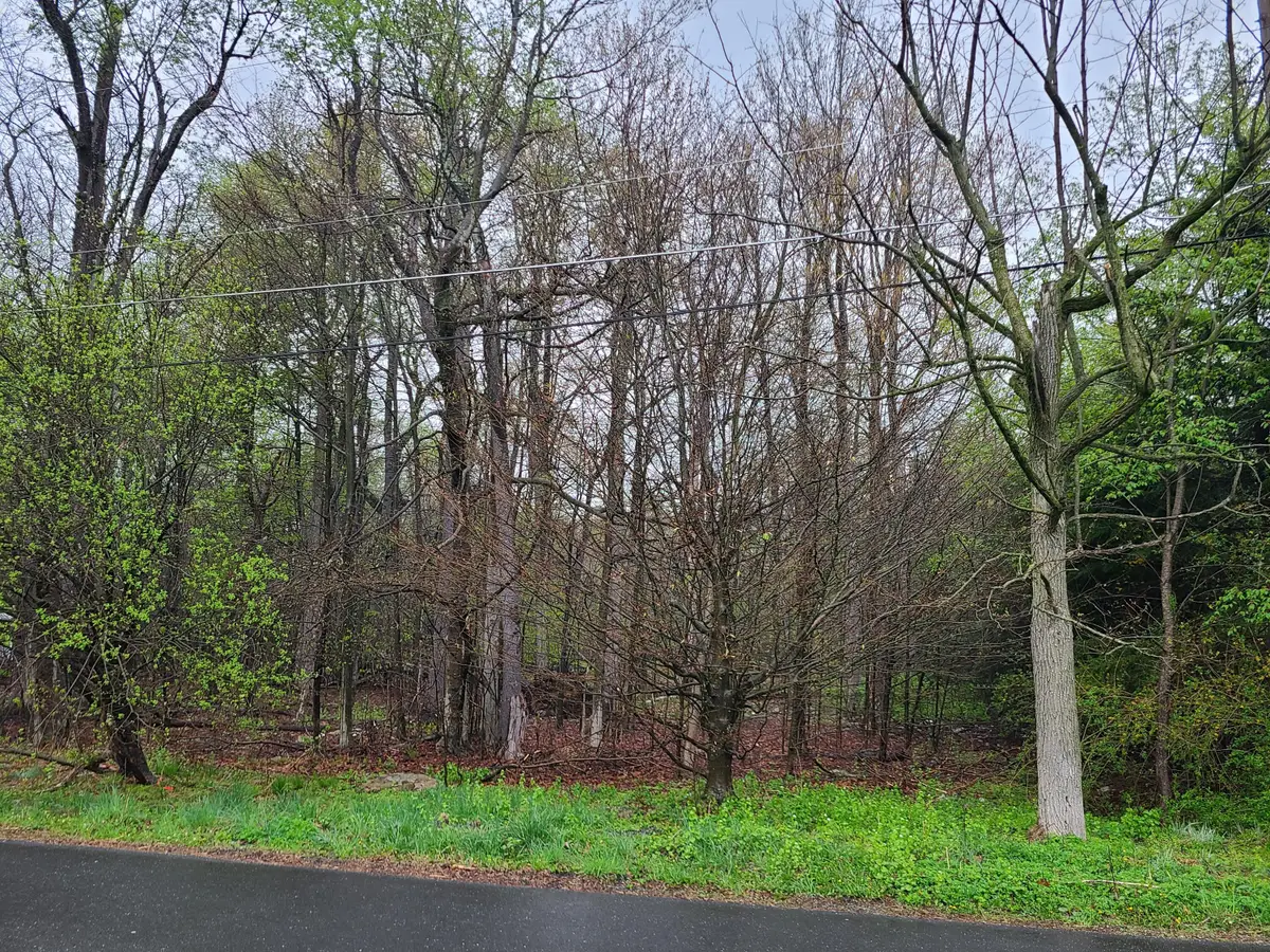 Lot B13 Forest Drive, Tobyhanna, PA 18466 - Image #1