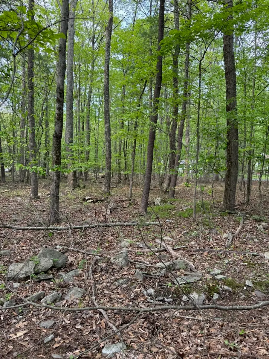 Charles Folly Rd 218, Bartonsville, PA 18321 - Image #2