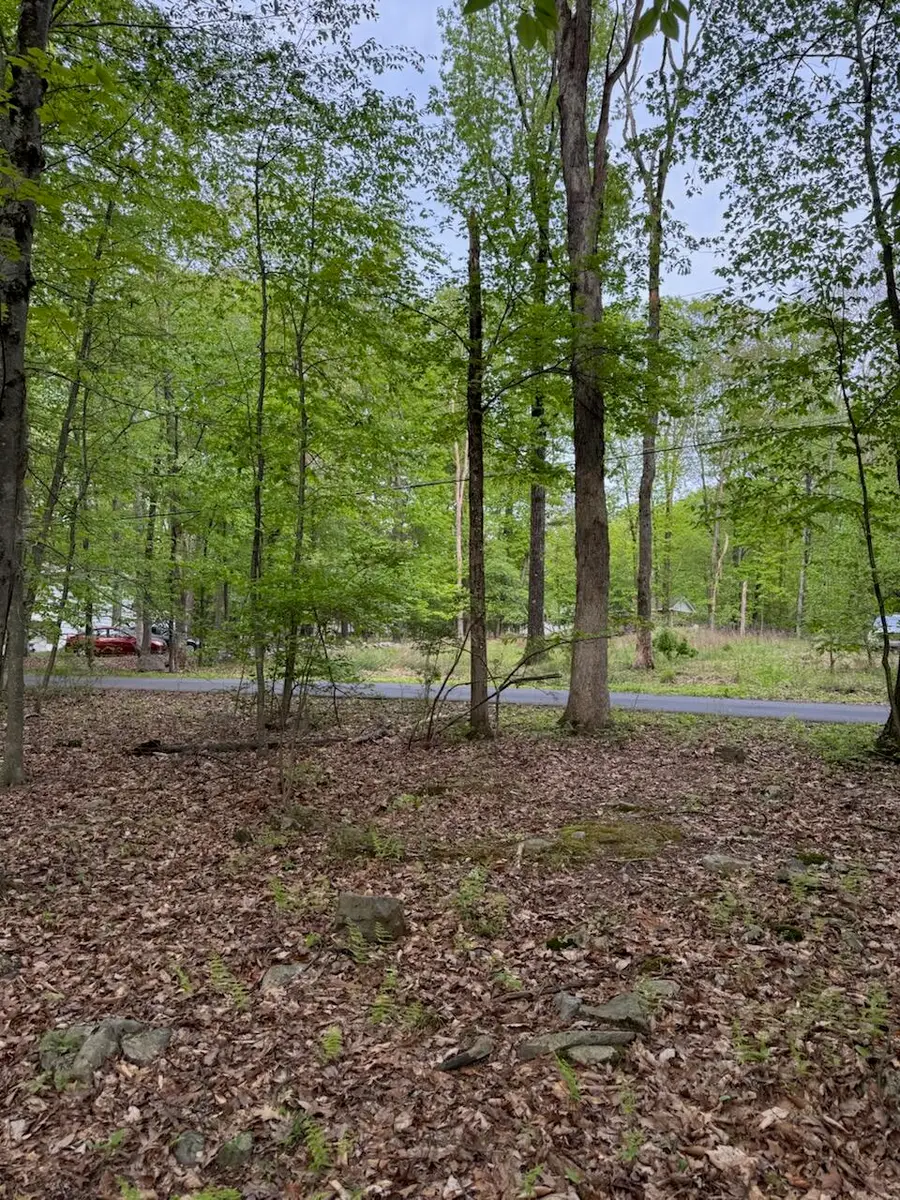 Charles Folly Rd 218, Bartonsville, PA 18321 - Image #3