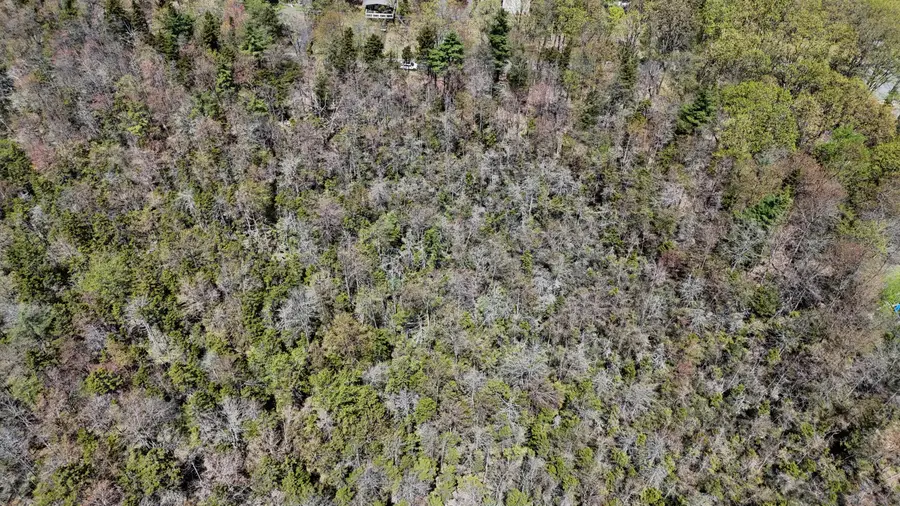 Lot 624 Laurel Road, Pocono Summit, PA 18346 - Image #3