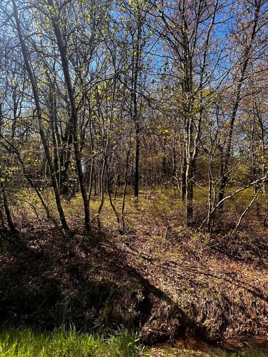 lot 5915 Wild Laurel Drive, Long Pond, PA 18334 - Image #2