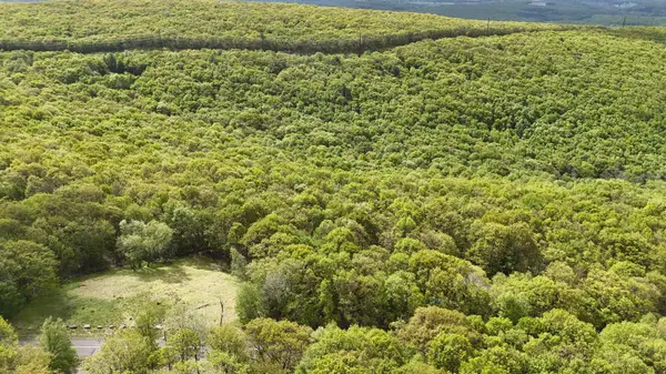 Arciel Dr, Albrightsville, PA 18210