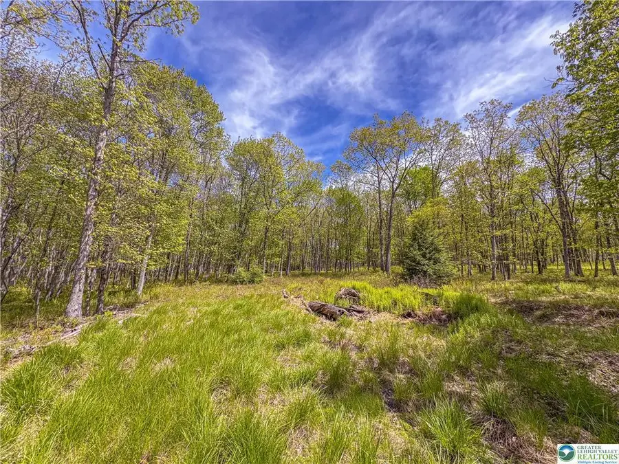 Lot 567 Cross Run Road, Jim Thorpe, PA 18229 - Image #2